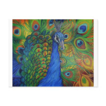 孔雀のスケッチ