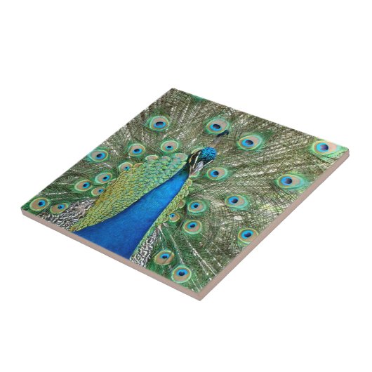 孔雀のタイル タイル (側面)