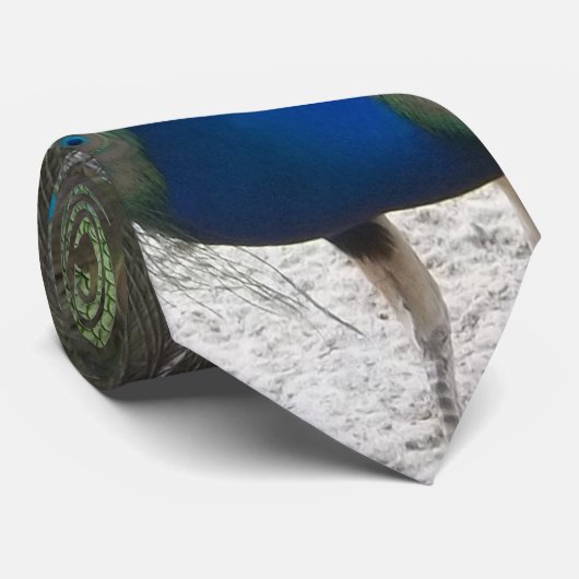 孔雀のタイ ネクタイ (ロール)