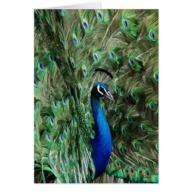 孔雀のノートの心配 (正面)