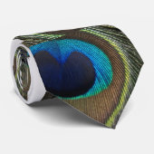 孔雀のピークブーイング ネクタイ (ロール)