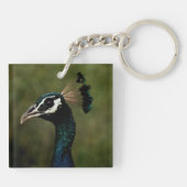 孔雀のプロフィール キーホルダー (裏面)