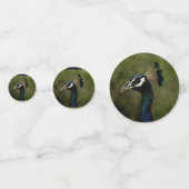 孔雀のプロフィール コンフェッティ (正面)