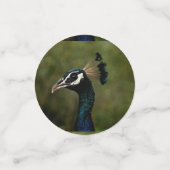 孔雀のプロフィール コンフェッティ (スモール正面)