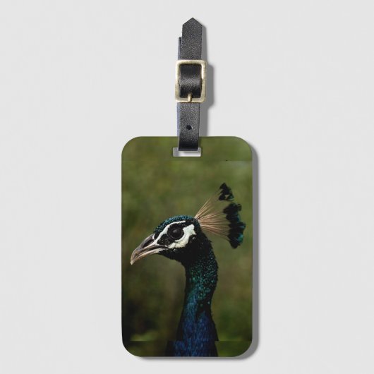 孔雀のプロフィール ラゲッジタグ (正面縦)