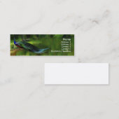 孔雀のプロフィール/名刺 スキニー名刺 (正面/裏面)