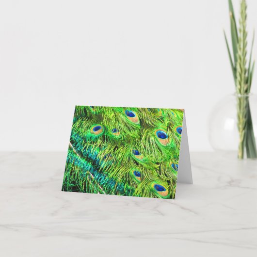 孔雀のペンキ カード (正面)