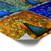 孔雀のポップ・アートの芸術 ポスター (角)