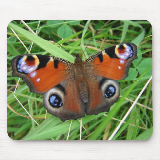 孔雀のマウスパッド マウスパッド