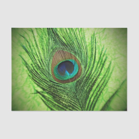 孔雀のライムグリーン 薄葉紙 (正面)