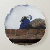 孔雀の丸い枕 ラウンドクッション (正面)