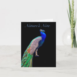 孔雀の休息写真キジ札 ノートカード