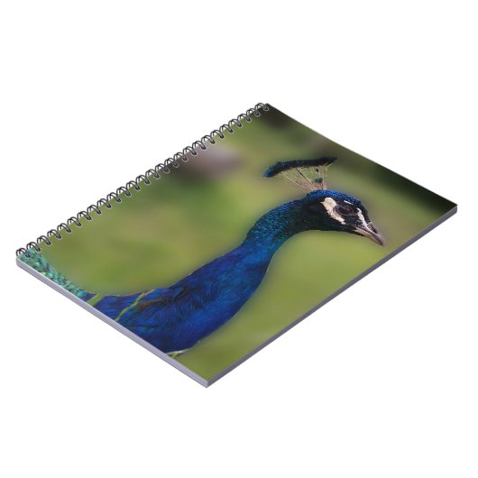 孔雀の写真ノート ノートブック (左側)