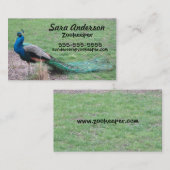 孔雀の名刺 名刺 (正面/裏面)