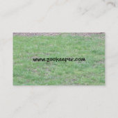 孔雀の名刺 名刺 (裏面)