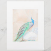 孔雀の固定 (正面)