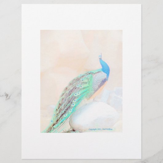 孔雀の固定 (正面)