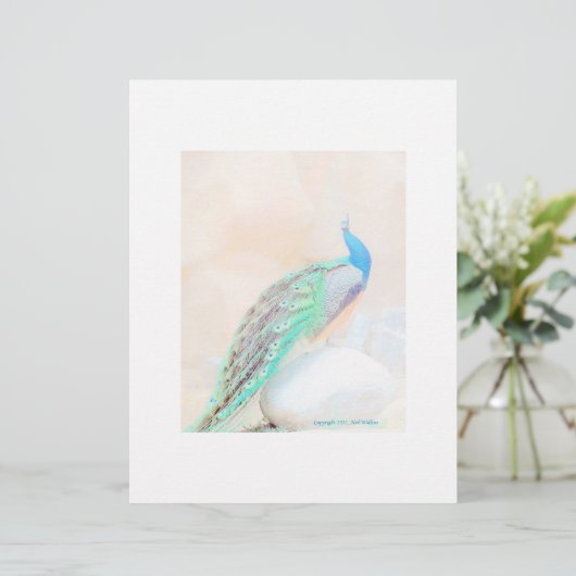 孔雀の固定 (スタンド正面)