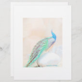 孔雀の固定 (正面/裏面)