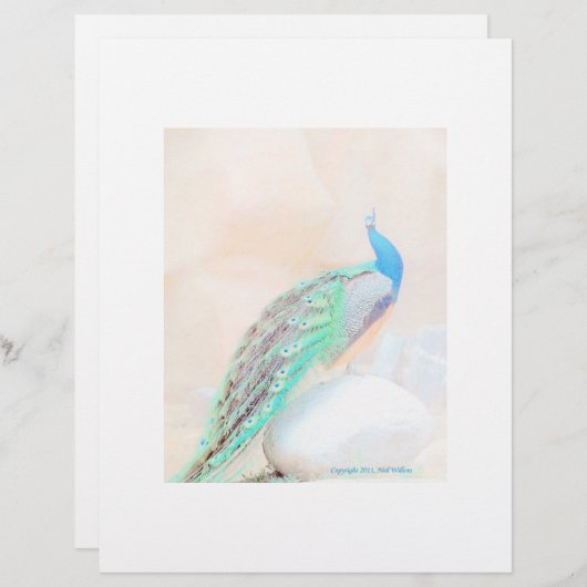 孔雀の固定 (正面/裏面)