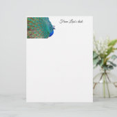 孔雀の固定 レターヘッド (スタンド正面)