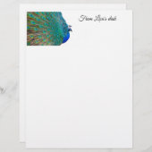 孔雀の固定 レターヘッド (正面/裏面)