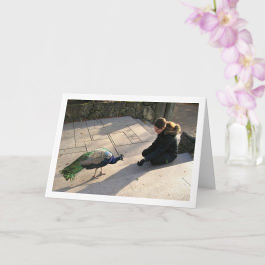 孔雀の少女 カード (蘭)