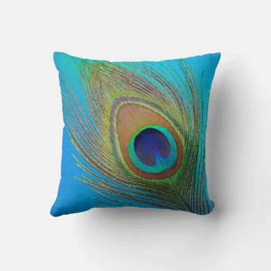 孔雀の尾の羽 クッション (裏面)
