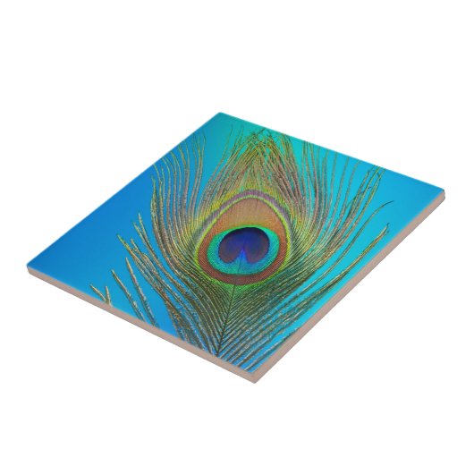 孔雀の尾の羽 タイル (側面)