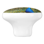 孔雀の尾羽 セラミックノブ (側面)