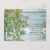 孔雀の愛の鳥が木に座って日付を保存 案内ポストカード (裏面)