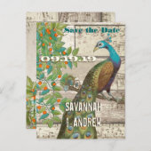 孔雀の愛の鳥が木に座って日付を保存 案内ポストカード (正面/裏面)