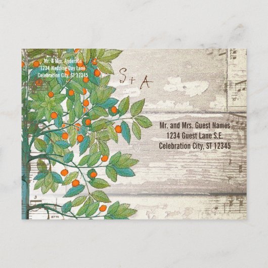 孔雀の愛の鳥が木に座って日付を保存 案内ポストカード (裏面)