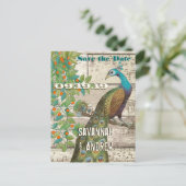 孔雀の愛の鳥が木に座って日付を保存 案内ポストカード (スタンド正面)