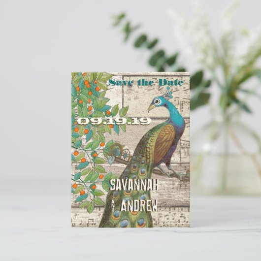 孔雀の愛の鳥が木に座って日付を保存 案内ポストカード (スタンド正面)