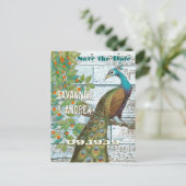 孔雀の愛の鳥が木に座って日付を保存 案内ポストカード (スタンド正面)