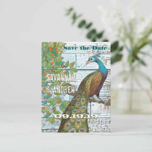 孔雀の愛の鳥が木に座って日付を保存 案内ポストカード (スタンド正面)