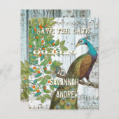 孔雀の愛の鳥が木に座って日付を保存 案内ポストカード (正面/裏面)