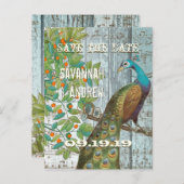 孔雀の愛の鳥が木に座って日付を保存 案内ポストカード (正面/裏面)