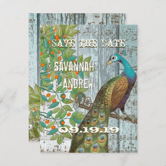 孔雀の愛の鳥が木に座って日付を保存 案内ポストカード (正面/裏面)
