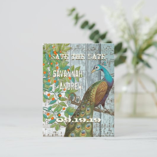 孔雀の愛の鳥が木に座って日付を保存 案内ポストカード (スタンド正面)