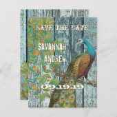 孔雀の愛の鳥が木に座って日付を保存 案内ポストカード (正面/裏面)
