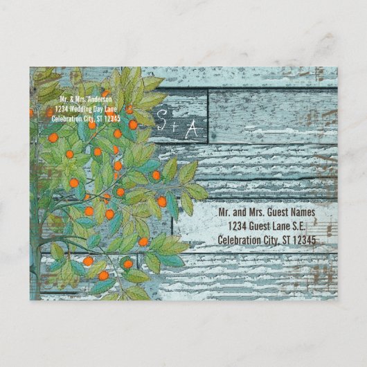 孔雀の愛の鳥が木に座って日付を保存 案内ポストカード (裏面)