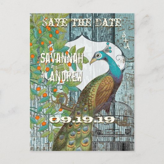 孔雀の愛の鳥が木に座って日付を保存 案内ポストカード (正面)