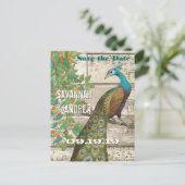 孔雀の愛の鳥が木に座って日付を保存 案内ポストカード (スタンド正面)