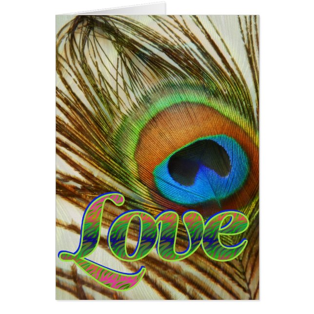 孔雀の愛 (正面)