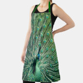 孔雀の支柱 エプロン (インサイチュ)