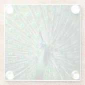 孔雀の支柱 ガラスコースター (裏面)