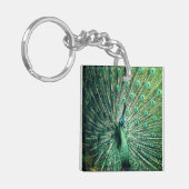 孔雀の支柱 キーホルダー (正面左)