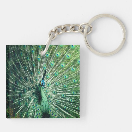 孔雀の支柱 キーホルダー (裏面)